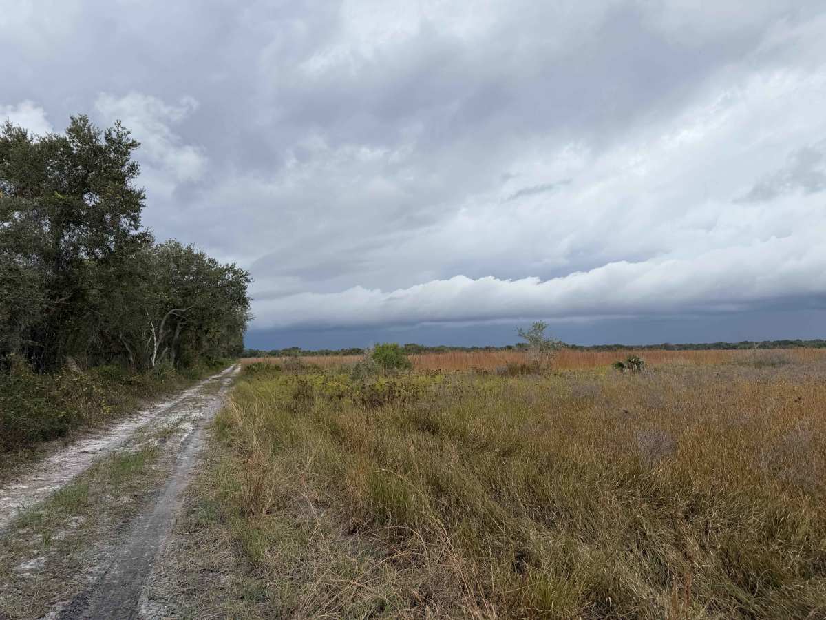 Road 7 Loop - Three Lakes WMA trail photo