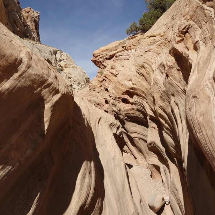 Near Bell Canyon Trail