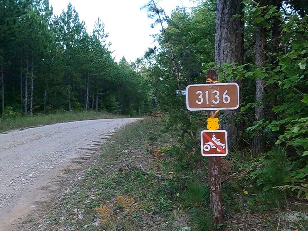 Camp Faunce - FS 3136 trail photo
