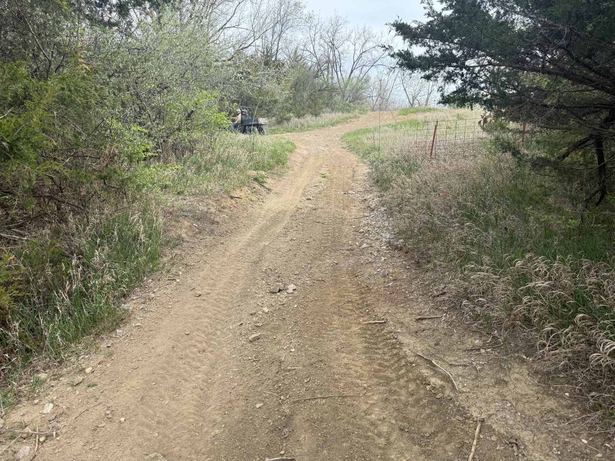 Trail # 6 photo 3