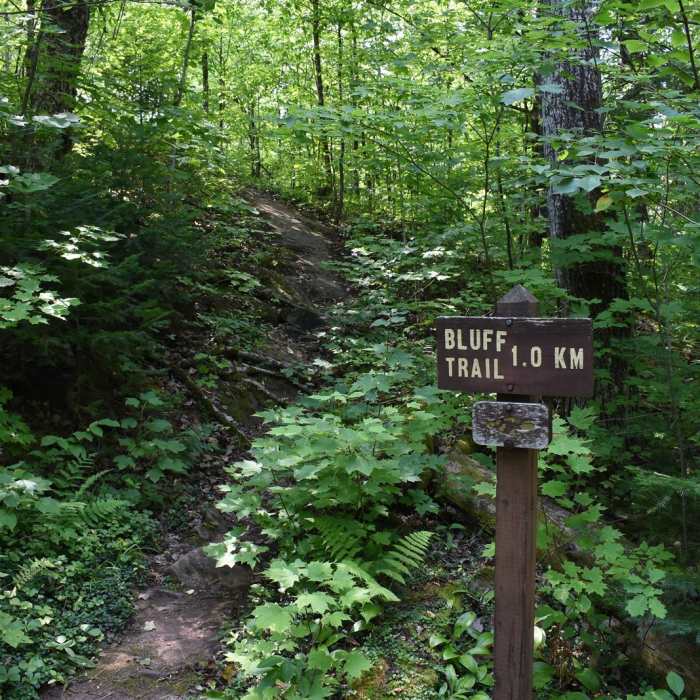 Near Cascade Falls Trail Near Cascade Falls Trail