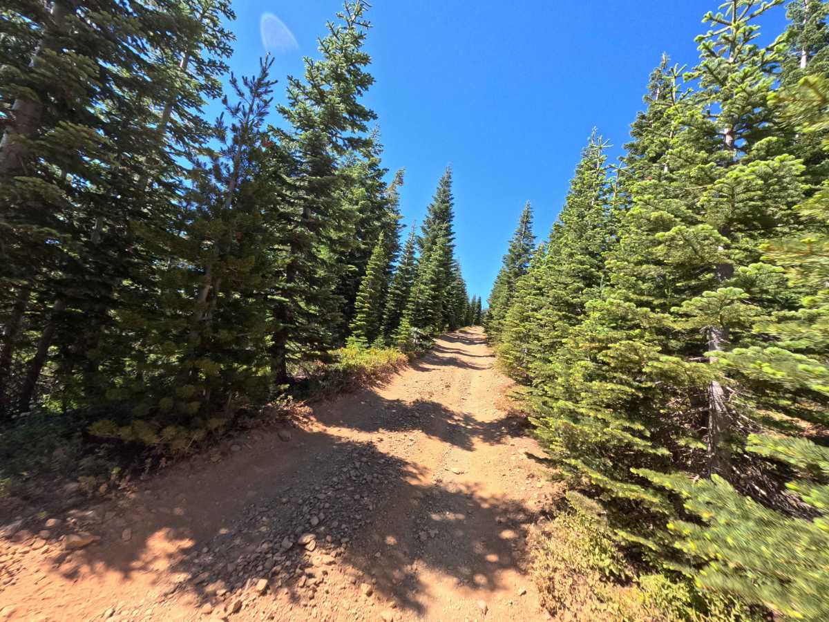 Deer Lake Road - FS 93-001 photo 5