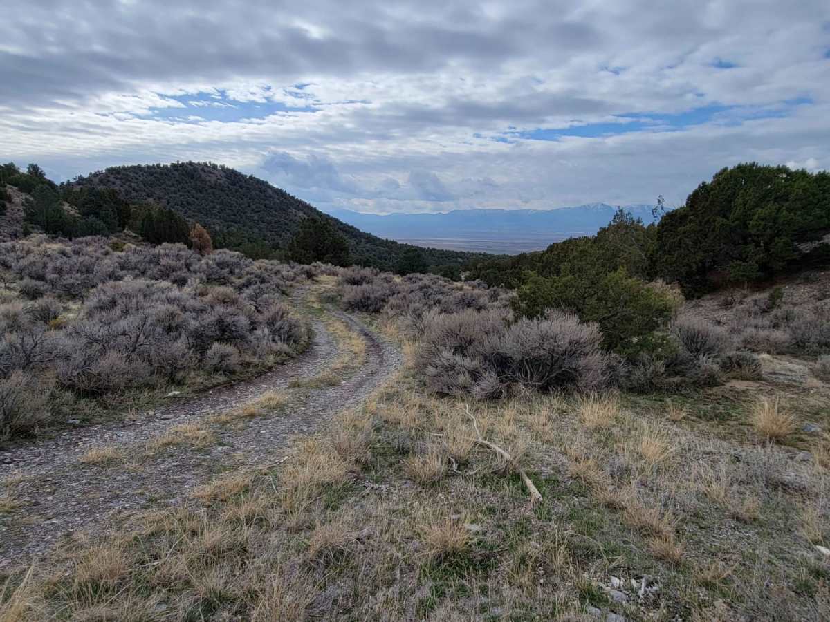 Dip Gulch Road photo 6