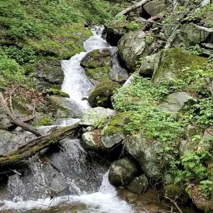 Near Little Devil Stairs Loop