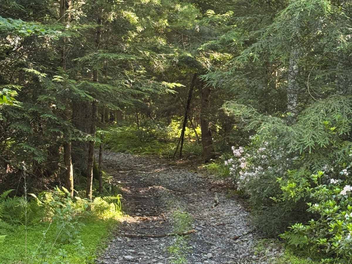 Pipeline Trail photo 2
