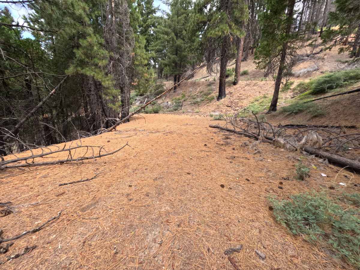 Estell Creek - FS 20N13 photo 3