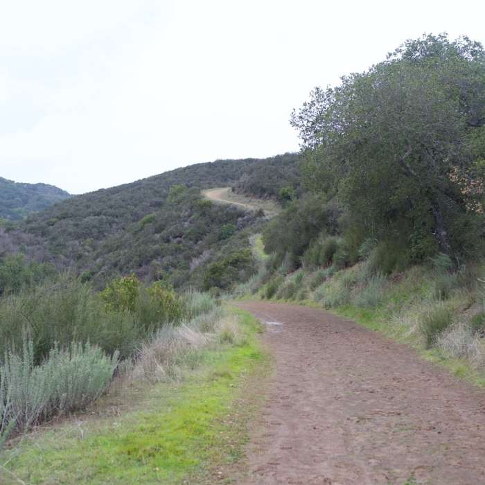 Near Upper Rogue Valley Trail