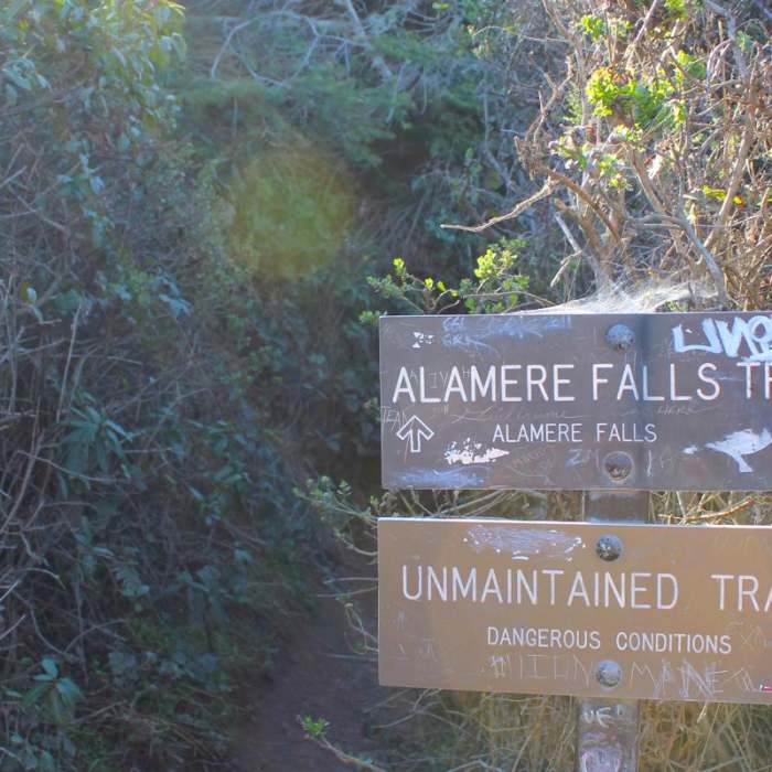 Near Palomarin to Alamere Falls Out and Back