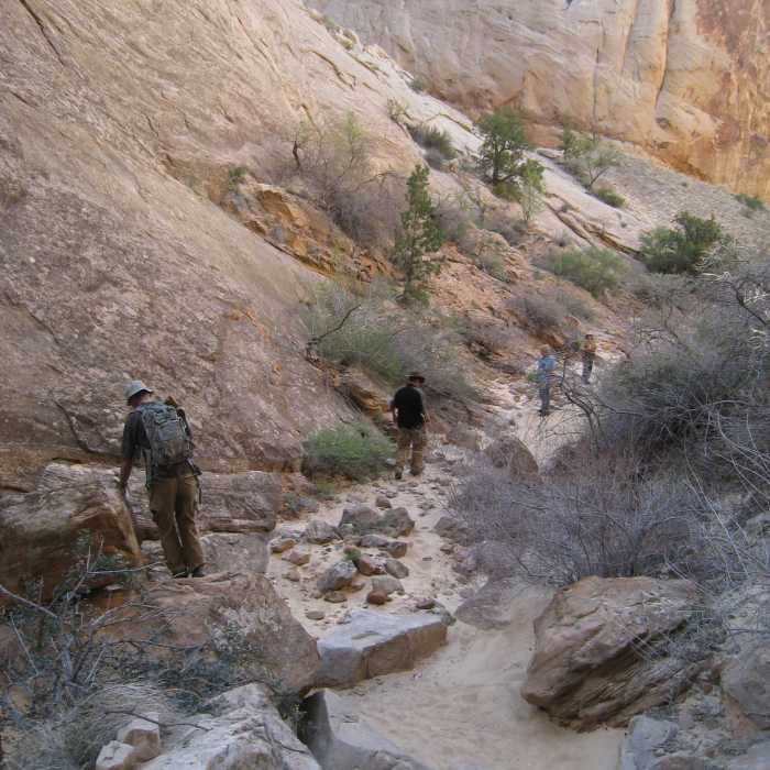 Near Surprise Canyon Trail
