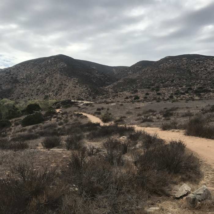 Near Grasslands Loop Trail