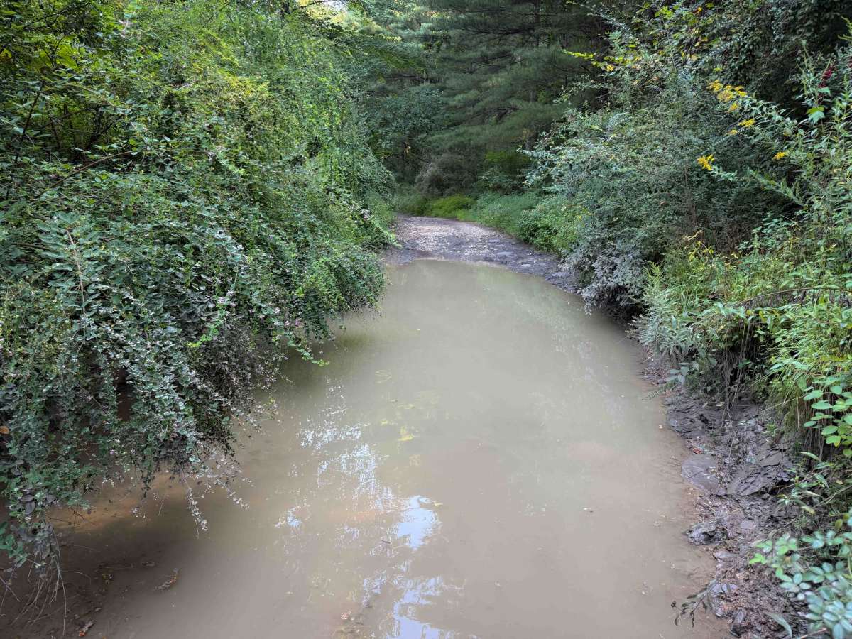 Overlook Trail 36  photo 3