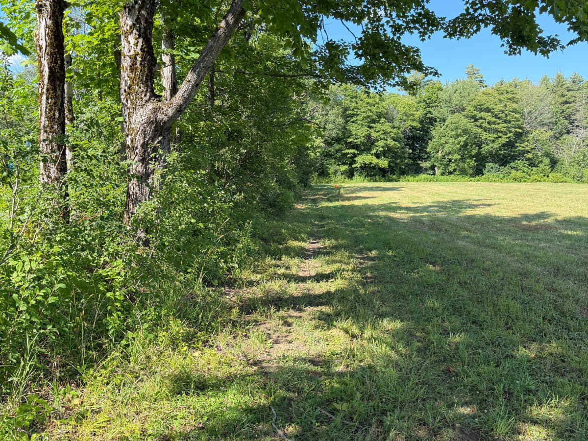 HMW Crofoot Hill–Mackay Trail photo 5