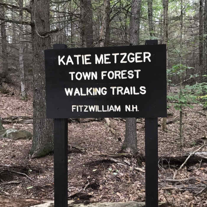 Near Blue Diamond Trail