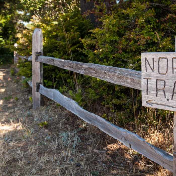 Near New River ACEC Trails Near New River ACEC Trails