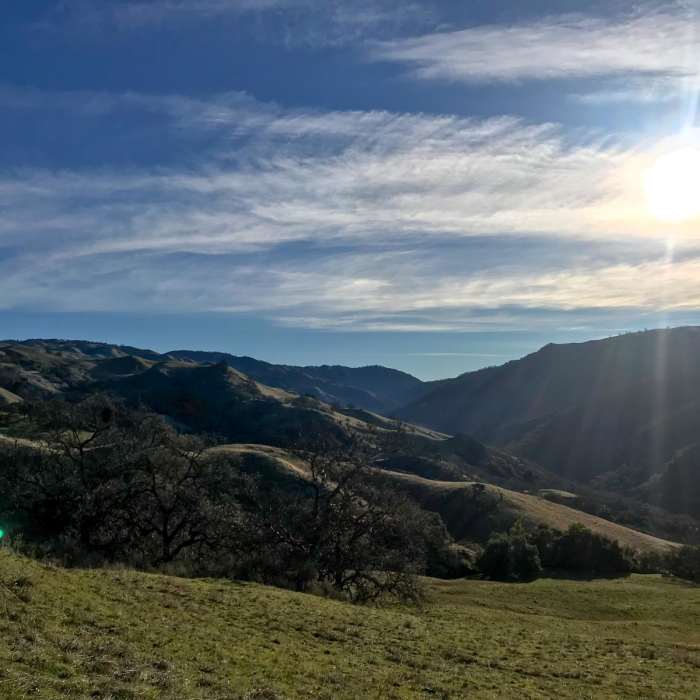 Near Rose Peak via McCorkle Trail + Ohlone Wilderness Trail