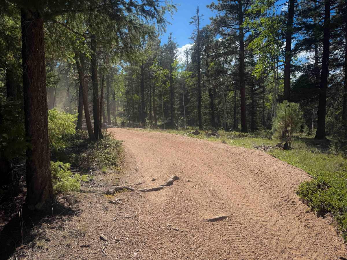 Davis Spur Trail 717C  photo 6