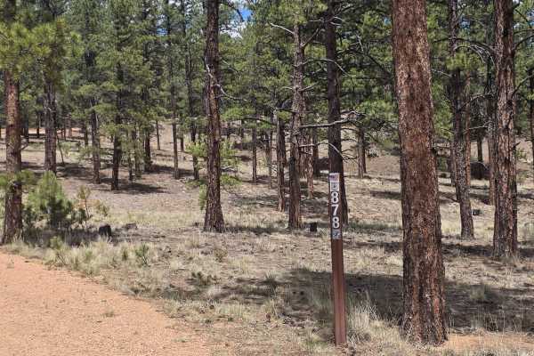Forest Glen Road - FS 878