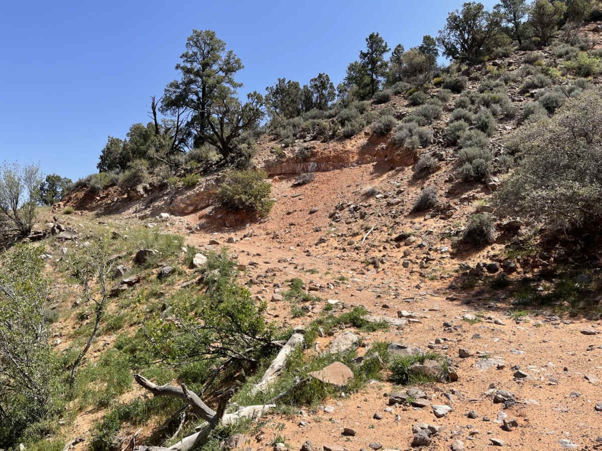 Coral Canyons Rocky Revenge photo 2