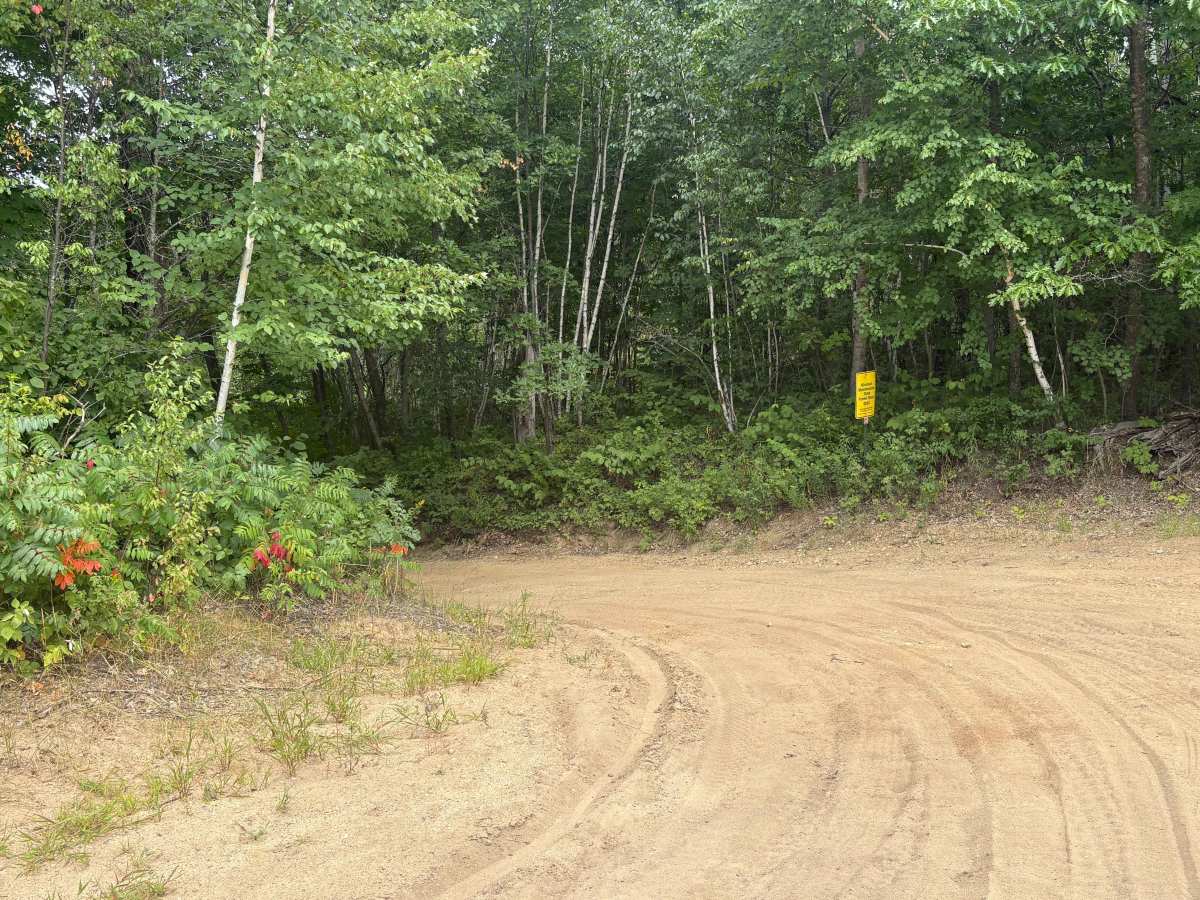 Navillus Forest Road photo 3