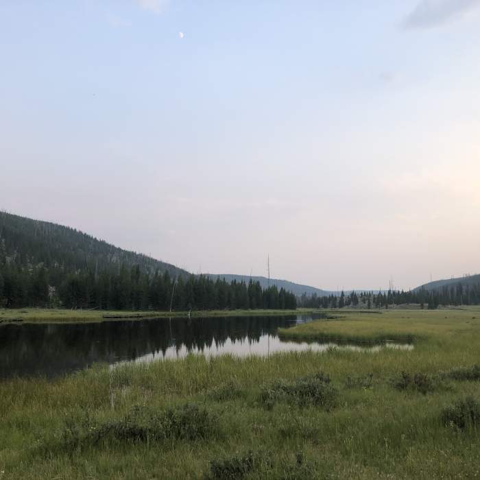 View looking out on Straight Creek at campsite 1C2. Near Grizzly Lake Trail