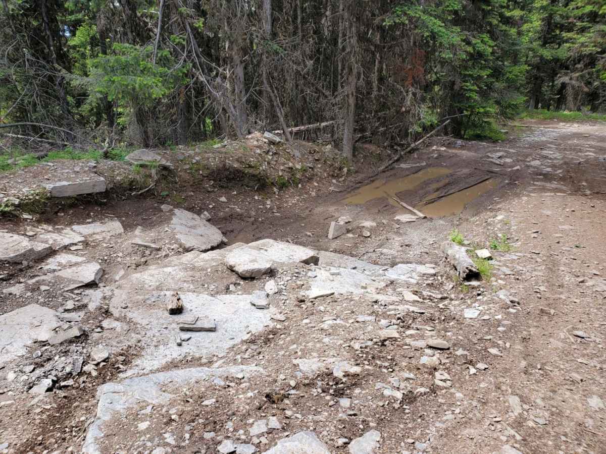 Blacktail Wild Bill OHV trail photo