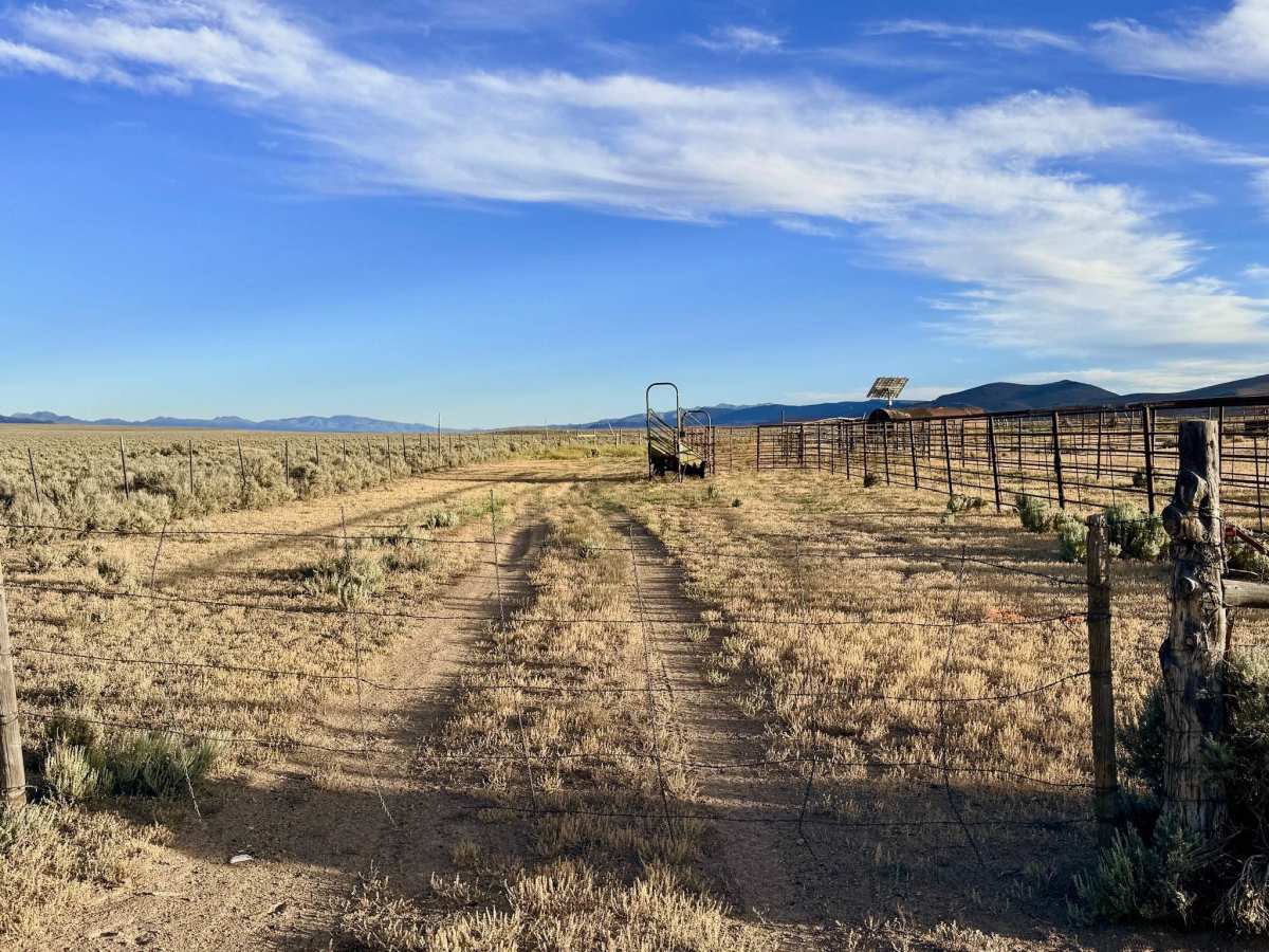 Grimes Ranch Road South photo 3