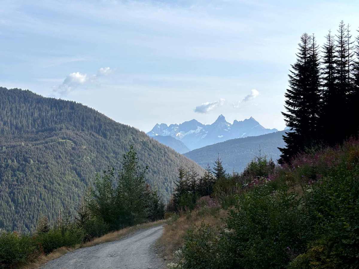 Mount Cheam Trailhead trail photo
