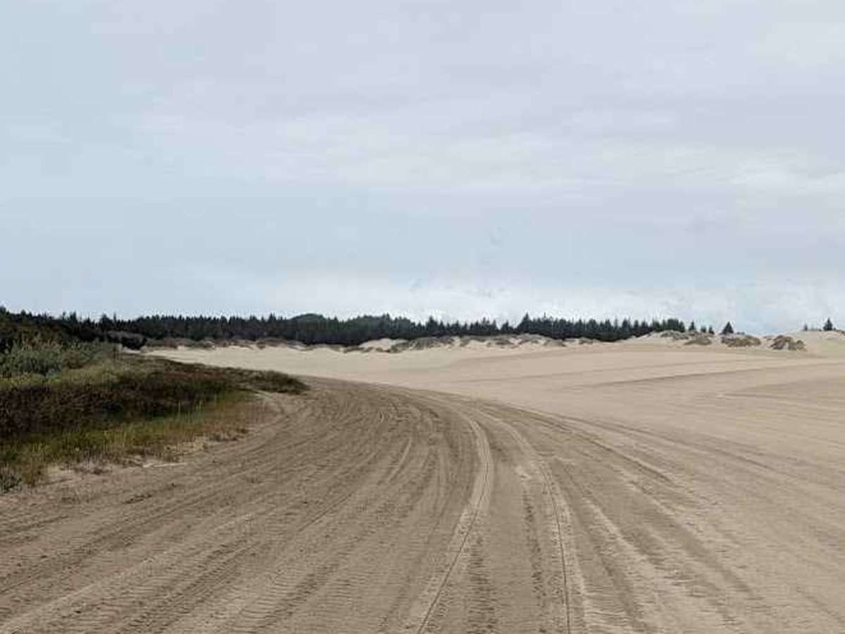 Open West photo 3