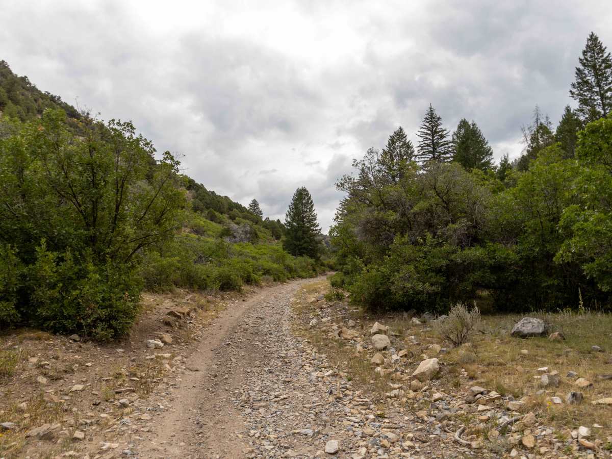 Miller Creek Loop photo 6