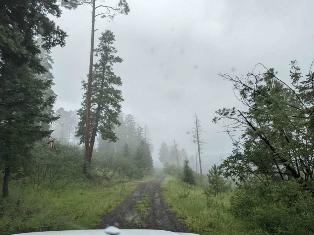 Middle Mountain Road trail photo