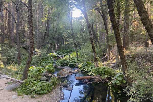 Chowchilla Mountain Road - FS 5S090