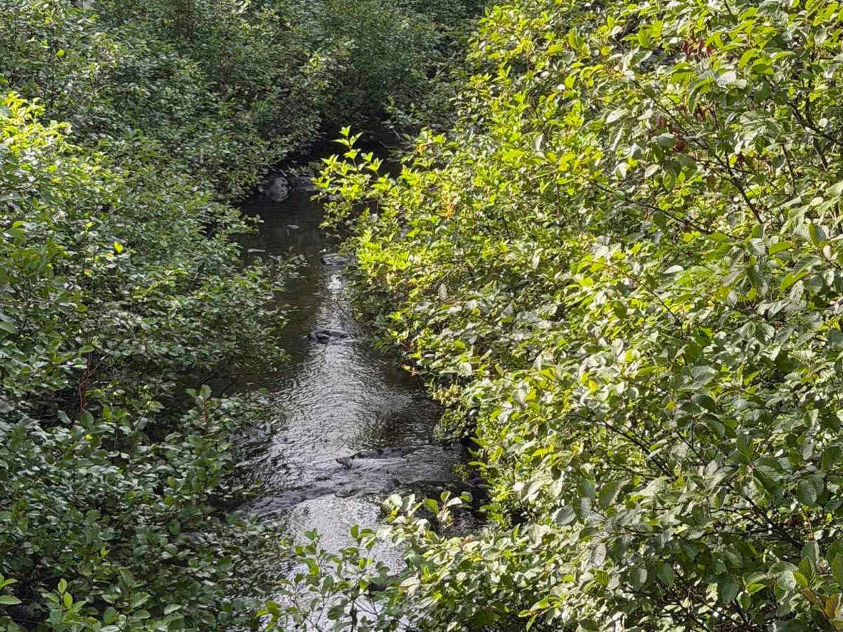 Chemin Rexfor photo 4