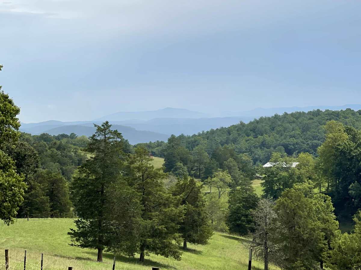 Fredericksburg Road photo 6