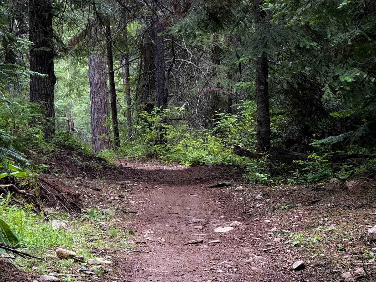Clark Creek photo 5