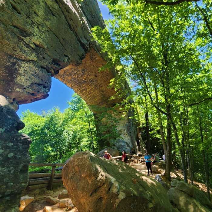 Near Balanced Rock Trail