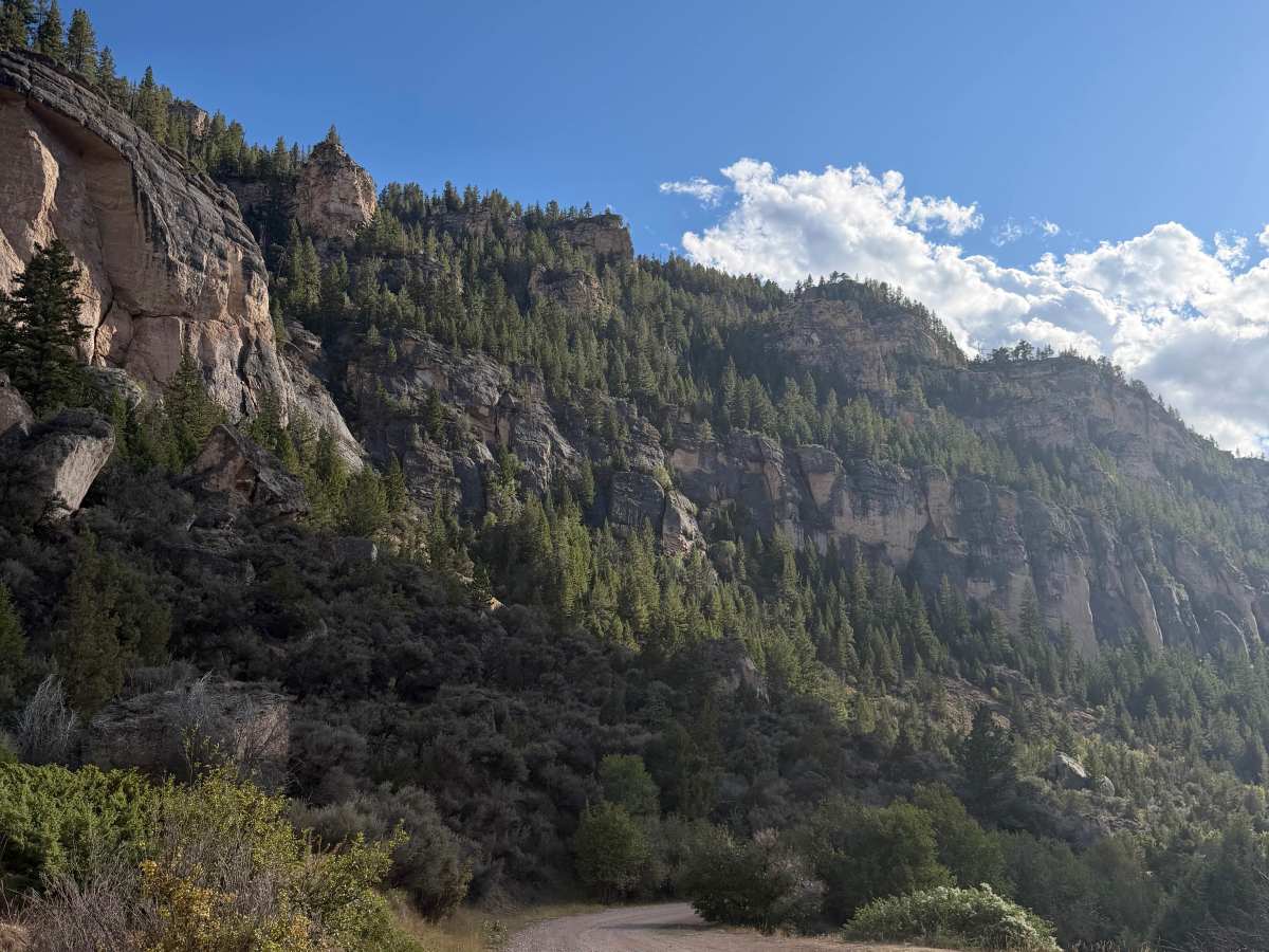 Old Highway 16  trail photo
