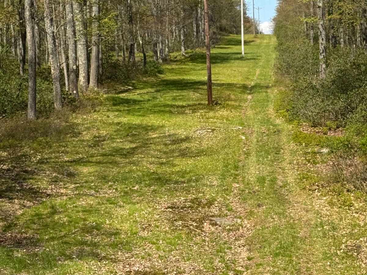 Marks Run Road photo 3