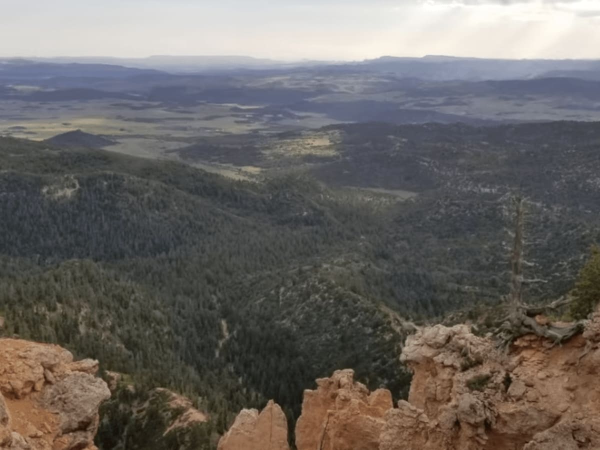 Straight Canyon photo 4