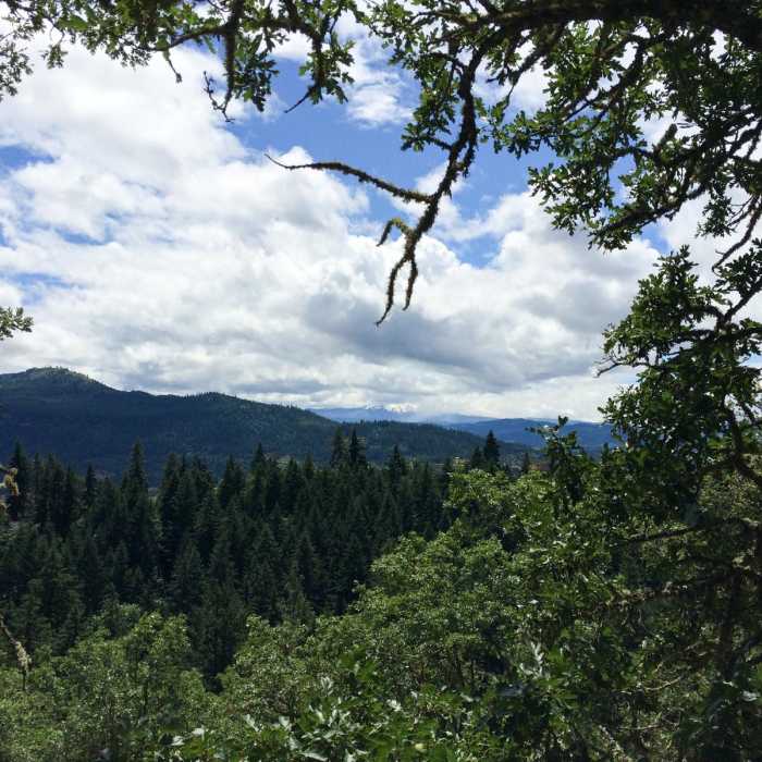 Near Jewett Creek Watershed