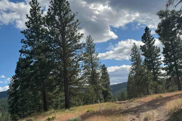 Mill Canyon Road