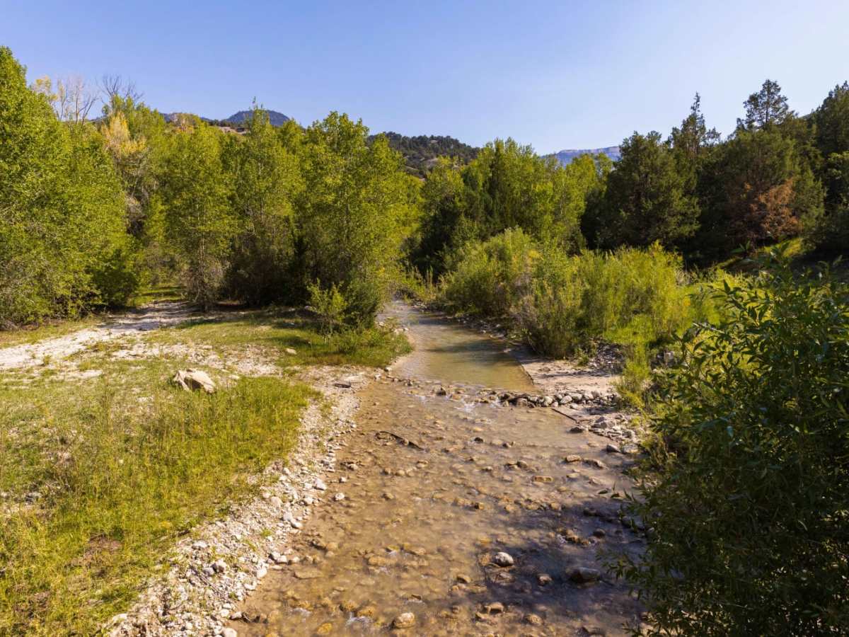 Beaver Creek Road trail photo