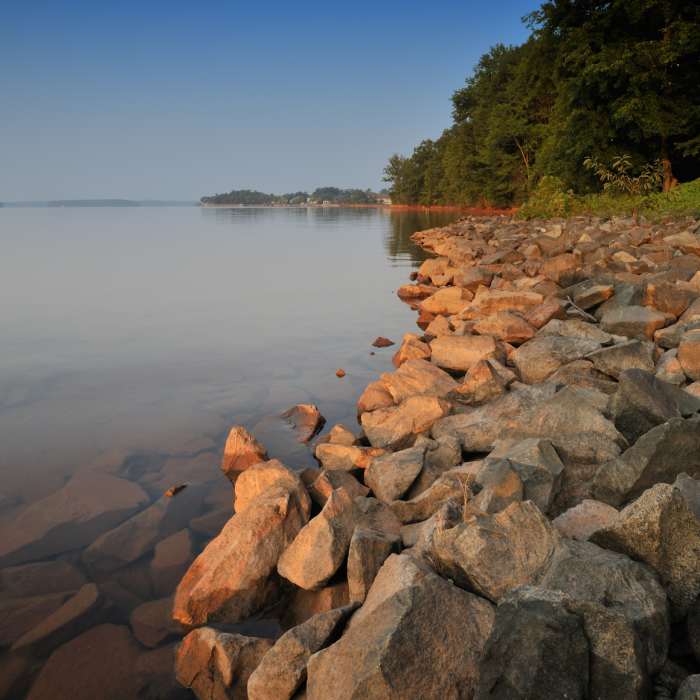 Jetton Park view Near Jetton Park Loop