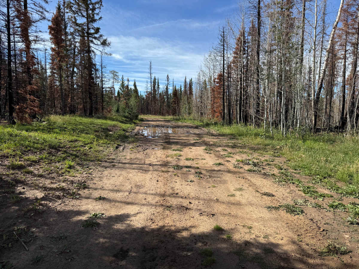 Hell Canyon Road photo 4