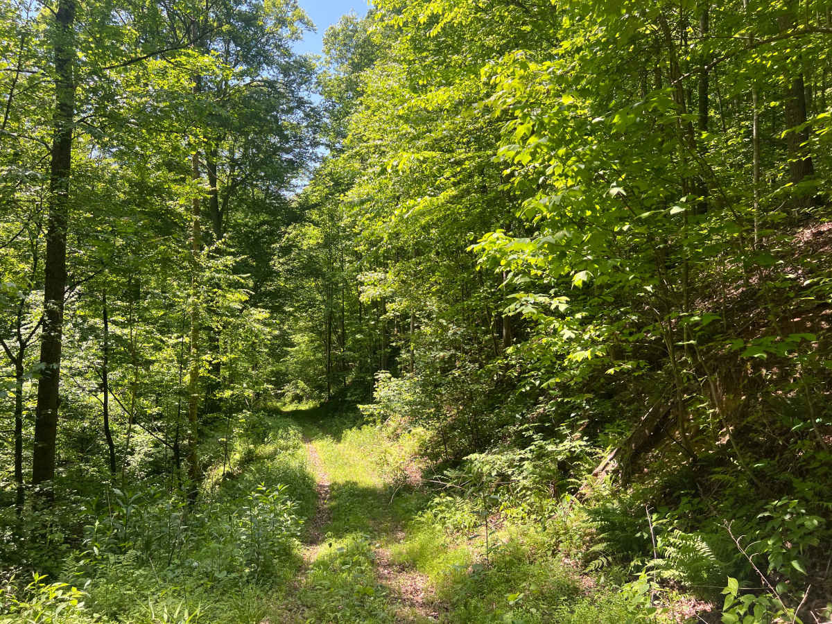 KC21 - Sugar Camp Road photo 6