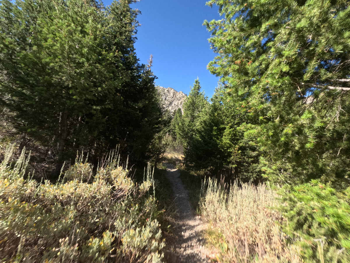 South Fork Ross Fork - FS 7227 photo 3