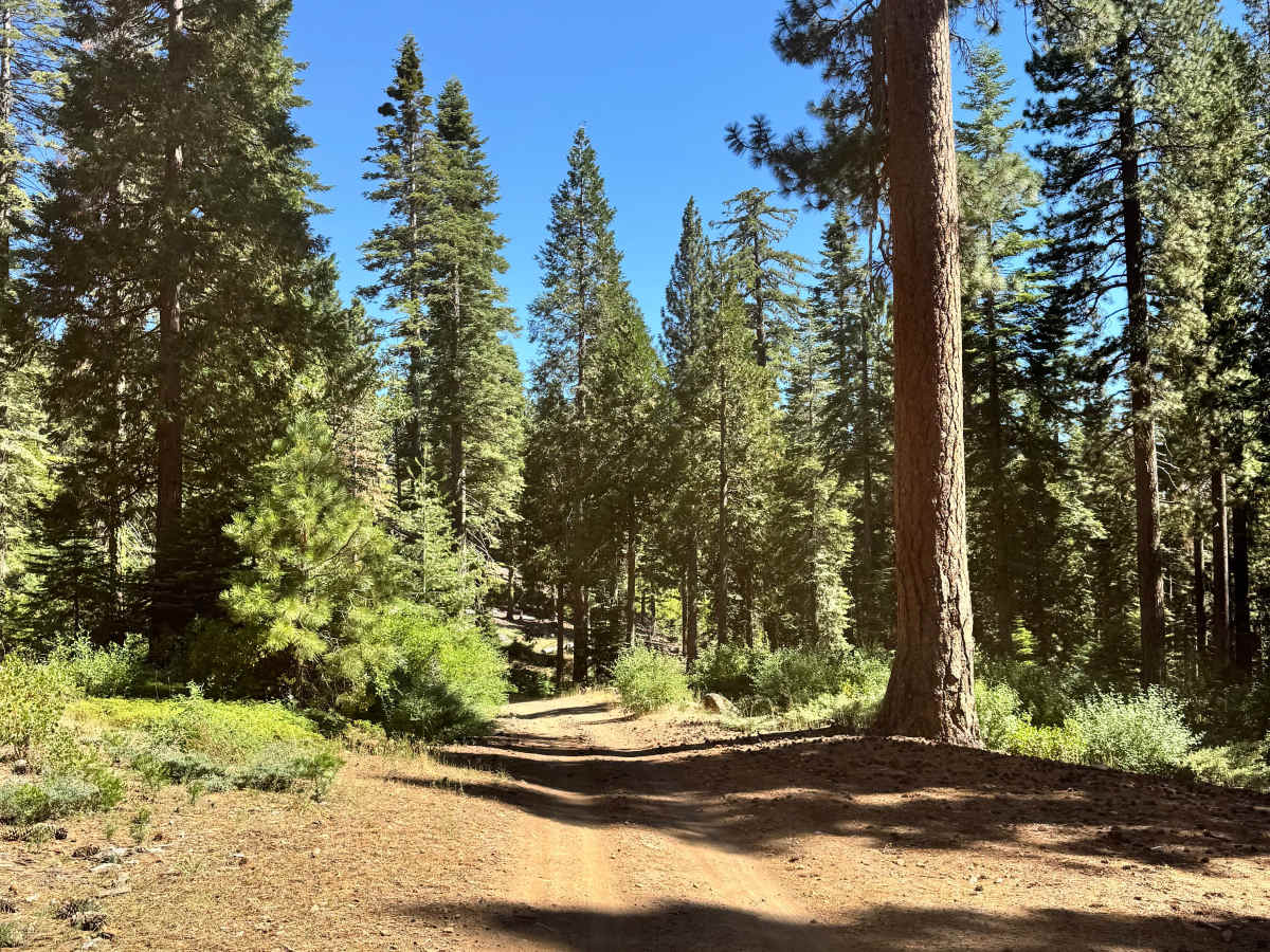 Old Strawberry Road Trail - FS 4N28Y photo 2