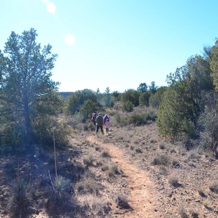 Near Sunset Loop Trail
