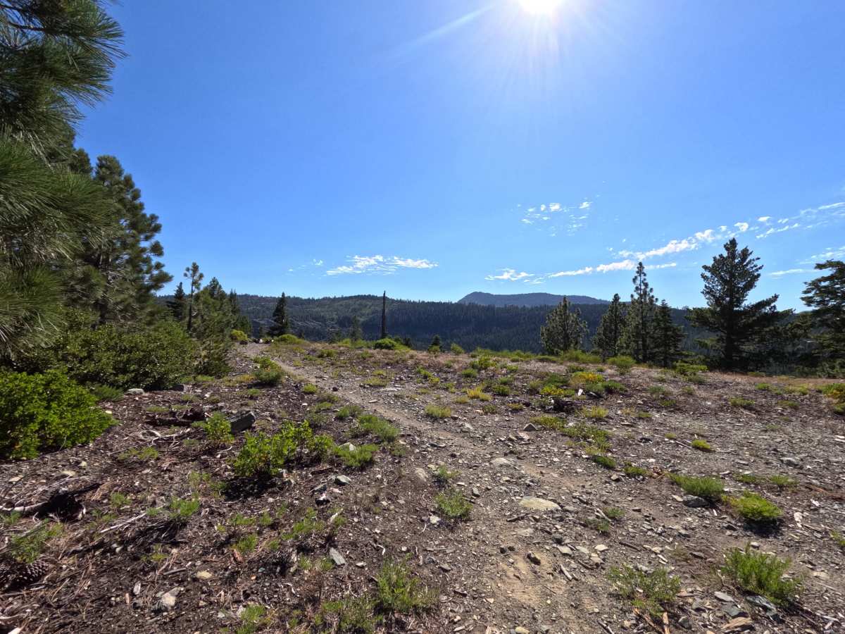Mohawk Creek - FS 22N42 photo 4