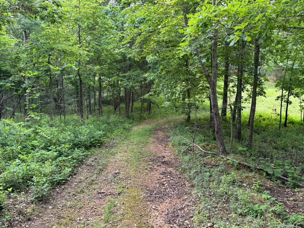 Wallis trail photo