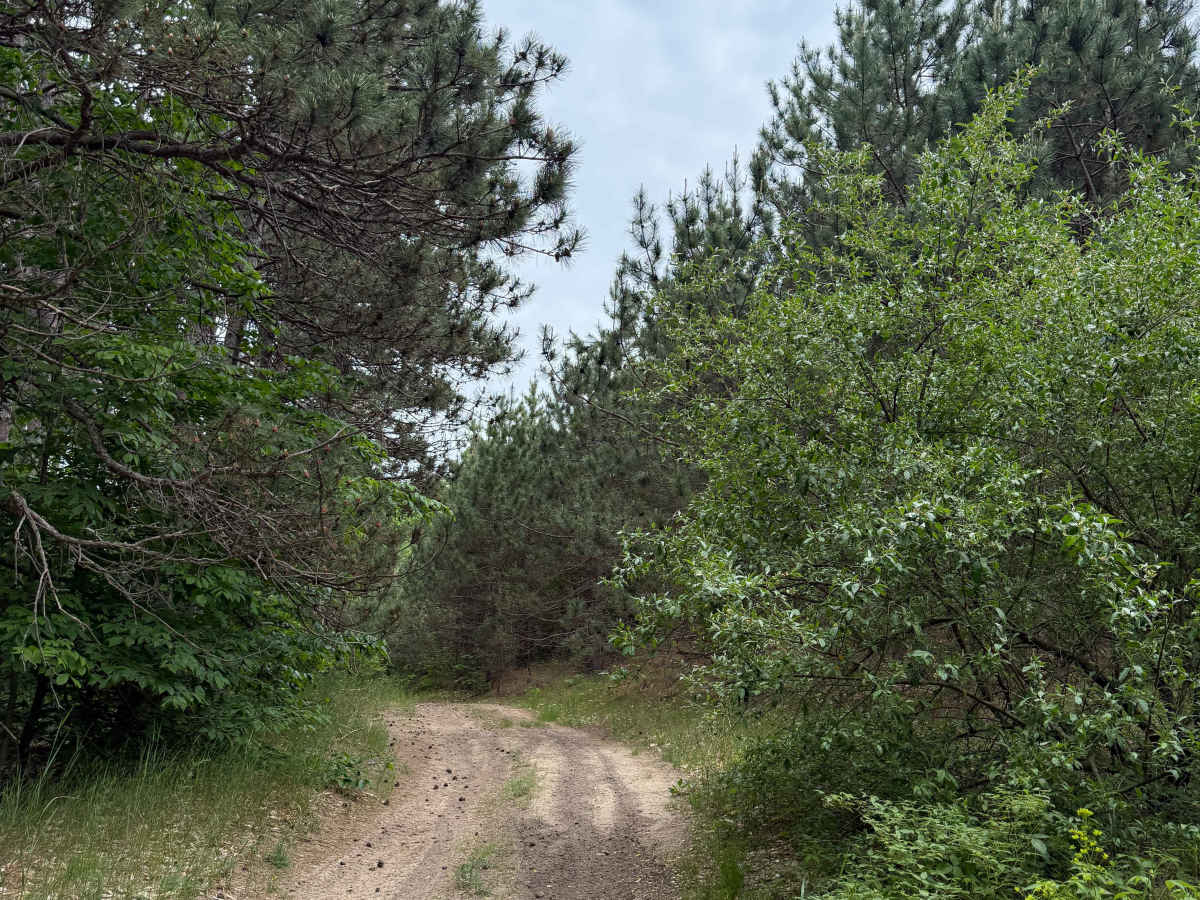 Samels Trail photo 4